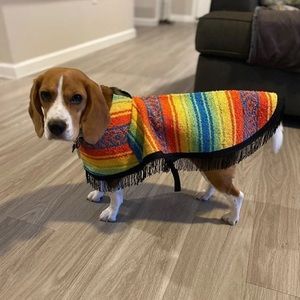 Dog Poncho Made in Mexico